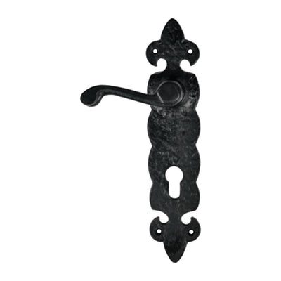 Black Iron Door Handle with Plate - Black Powder Coated Finish