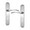 Brass Door Handle with Plate - Satin Nickel