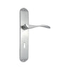 Brass Door Handle with Plate - Satin Nickel