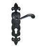 Black Iron Door Handle with Plate - Black Powder Coated Finish