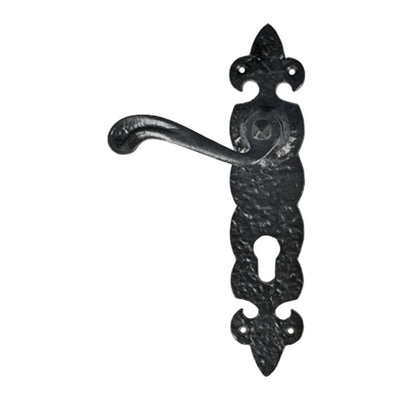 Black Iron Door Handle with Plate - Black Powder Coated Finish