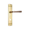 Brass Door Handle with Plate - Polish Lacquered