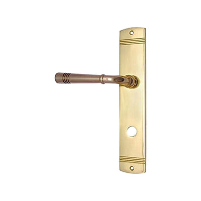 Brass Door Handle with Plate - Polish Lacquered