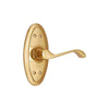 Brass Door Handle with Plate - Polish Lacquered