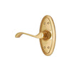 Brass Door Handle with Plate - Polish Lacquered