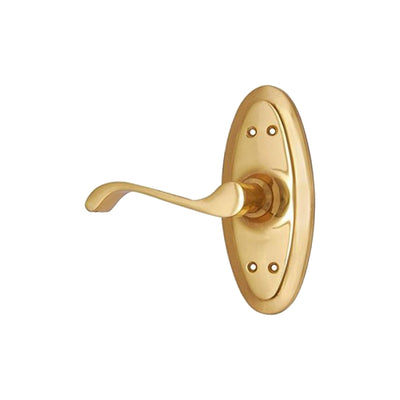 Brass Door Handle with Plate - Polish Lacquered