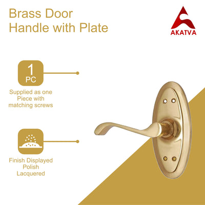 Brass Door Handle with Plate - Polish Lacquered