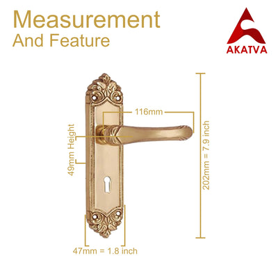 Brass Door Handle with Plate - Polish Lacquered