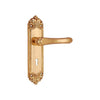 Brass Door Handle with Plate - Polish Lacquered