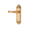 Brass Door Handle with Plate - Polish Lacquered