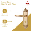 Brass Door Handle with Plate - Polish Lacquered