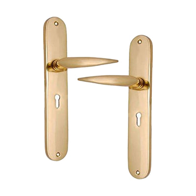 Brass Door Handle with Plate - Polish Lacquered