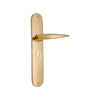 Brass Door Handle with Plate - Polish Lacquered