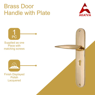 Brass Door Handle with Plate - Polish Lacquered