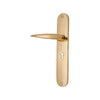 Brass Door Handle with Plate - Polish Lacquered