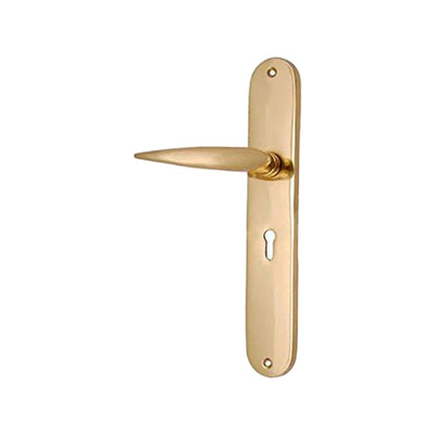 Brass Door Handle with Plate - Polish Lacquered