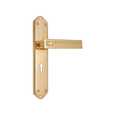 Brass Door Handle with Plate - Polish Lacquered