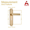 Brass Door Handle with Plate - Polish Lacquered