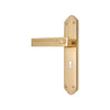 Brass Door Handle with Plate - Polish Lacquered