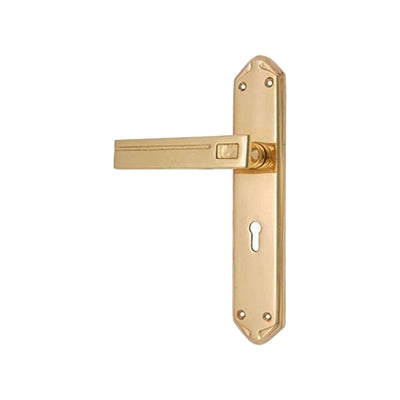 Brass Door Handle with Plate - Polish Lacquered