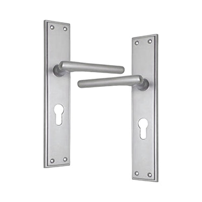 Brass Door Handle with Plate - Satin Nickel