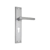 Brass Door Handle with Plate - Satin Nickel