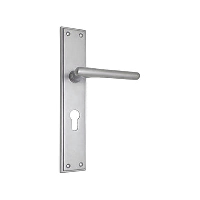 Brass Door Handle with Plate - Satin Nickel