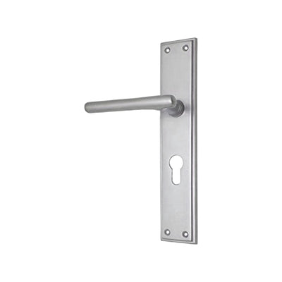 Brass Door Handle with Plate - Satin Nickel