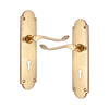 Brass Door Handle with Plate - Polish Lacquered