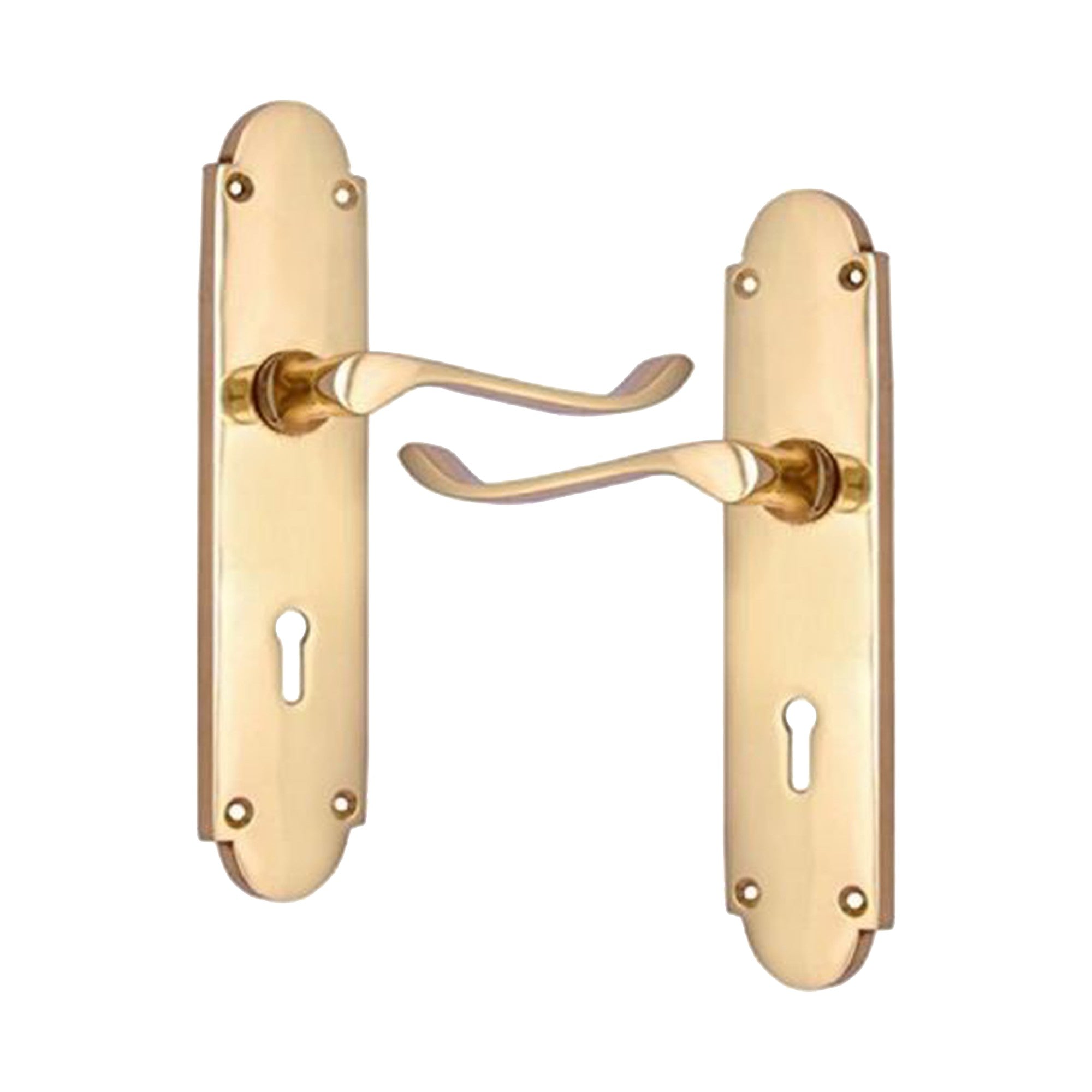 Brass Door Handle with Plate - Polish Lacquered