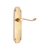 Brass Door Handle with Plate - Polish Lacquered