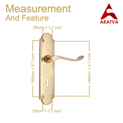 Brass Door Handle with Plate - Polish Lacquered