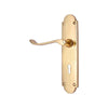 Brass Door Handle with Plate - Polish Lacquered