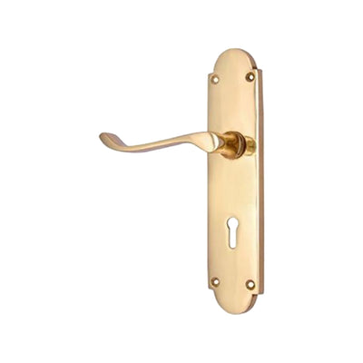 Brass Door Handle with Plate - Polish Lacquered