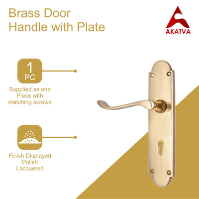 Brass Door Handle with Plate - Polish Lacquered