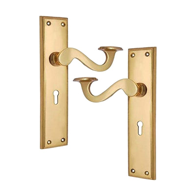 Brass Door Handle with Plate - Polish Lacquered