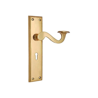 Brass Door Handle with Plate - Polish Lacquered