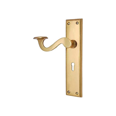 Brass Door Handle with Plate - Polish Lacquered