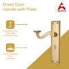 Brass Door Handle with Plate - Polish Lacquered