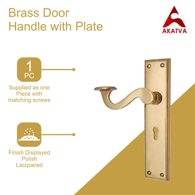 Brass Door Handle with Plate - Polish Lacquered