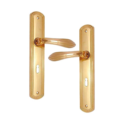 Brass Door Handle with Plate - Polish Lacquered