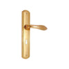 Brass Door Handle with Plate - Polish Lacquered