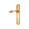 Brass Door Handle with Plate - Polish Lacquered