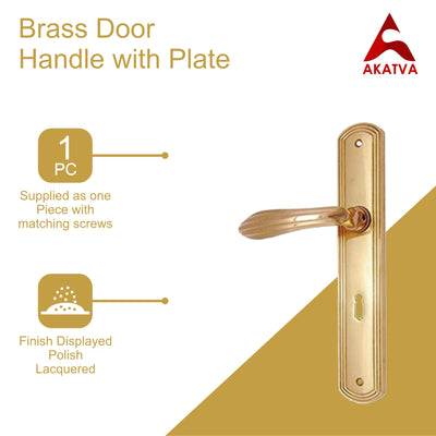 Brass Door Handle with Plate - Polish Lacquered