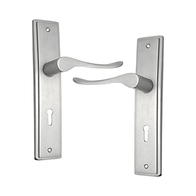 Brass Door Handle with Plate - Satin Nickel