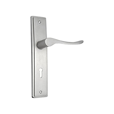 Brass Door Handle with Plate - Satin Nickel