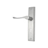 Brass Door Handle with Plate - Satin Nickel