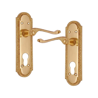 Brass Door Handle with Plate - Polish Lacquered