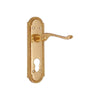 Brass Door Handle with Plate - Polish Lacquered