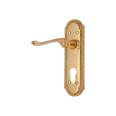 Brass Door Handle with Plate - Polish Lacquered